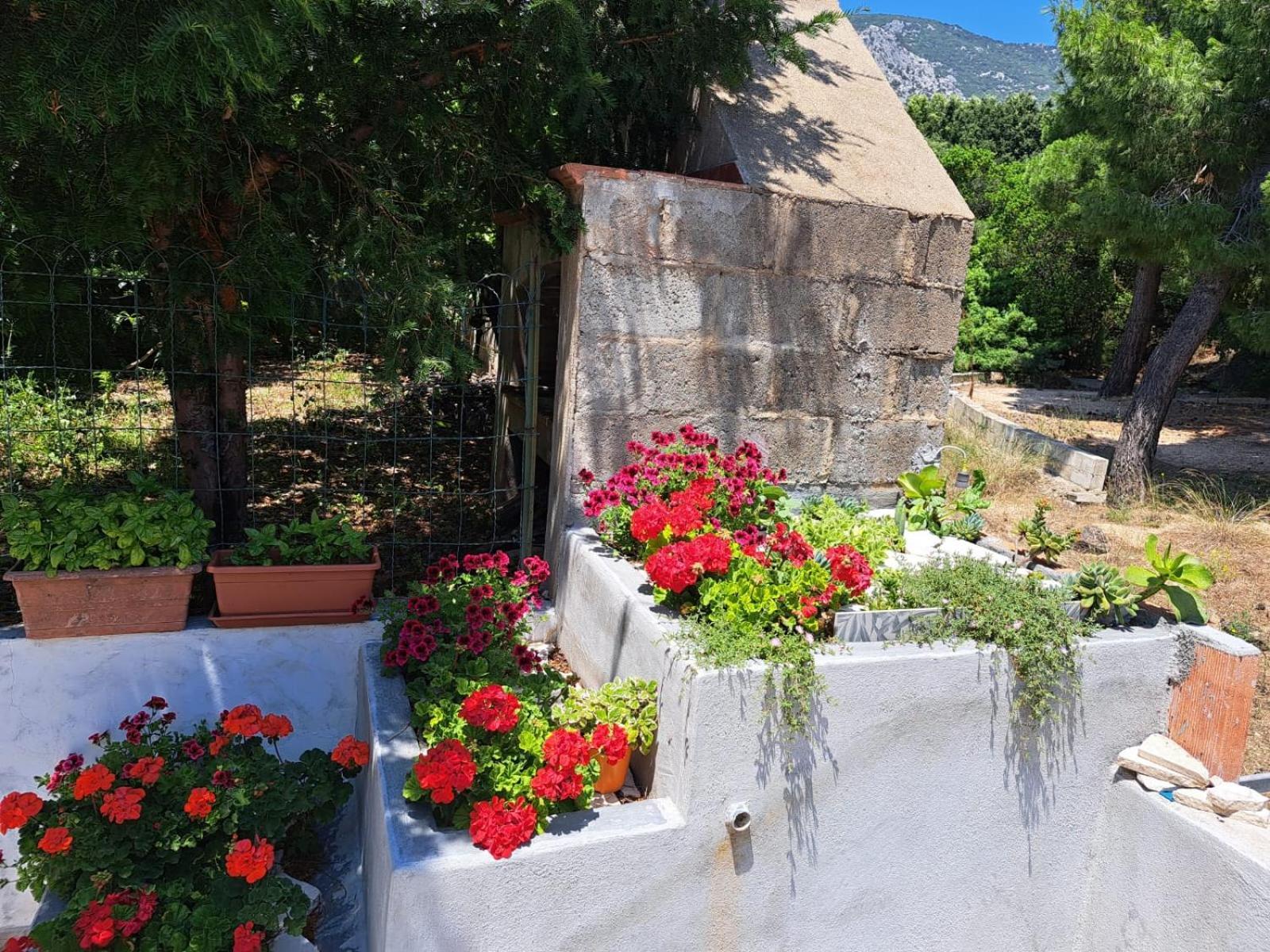 Domus De Mare Lägenhet Cala Gonone Exteriör bild